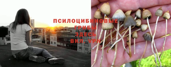 Альфа ПВП Ладушкин