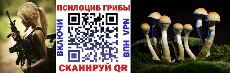 Галлюциногенные грибы GOLDEN TEACHER  закладки  Малгобек 